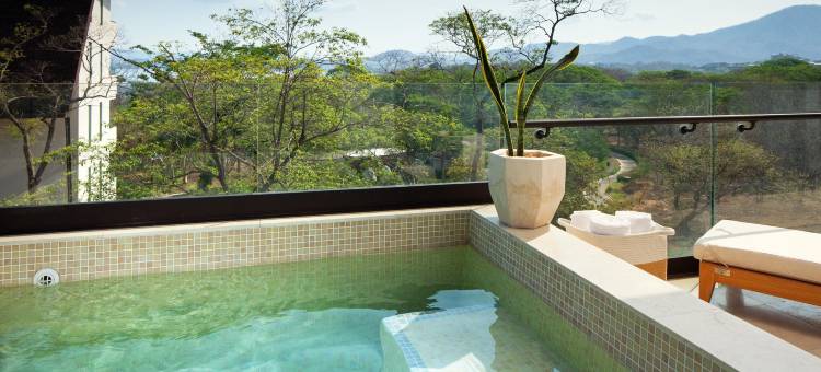 哥斯达黎加W酒店-莱瑟瓦康洽尔(W Costa Rica - Reserva Conchal)图片