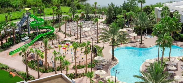 奥兰多拉斯帕梅拉斯希尔顿分时度假俱乐部酒店(Hilton Grand Vacations Club Las Palmeras Orlando)图片