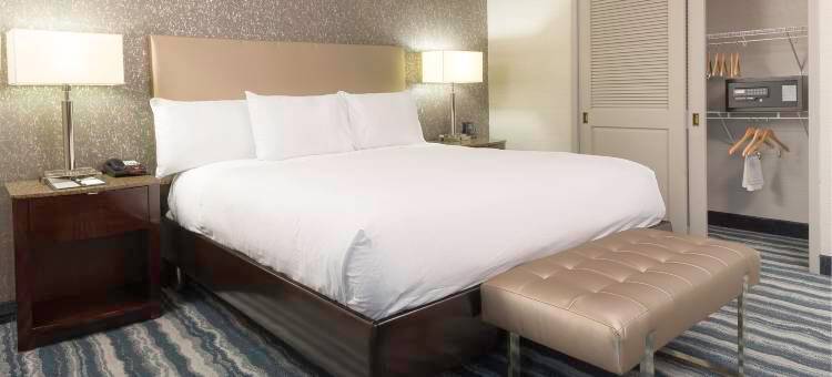 威尔明顿希尔顿逸林酒店(DoubleTree by Hilton Wilmington)图片