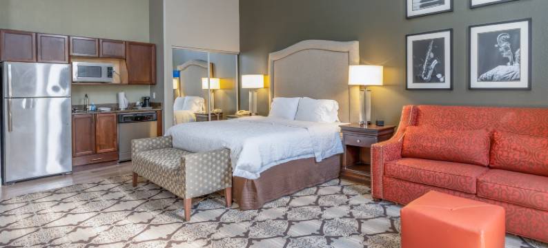 新奥尔良会议中心欢朋酒店及套房(Hampton Inn & Suites New Orleans-Convention Center)图片