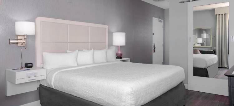 迈阿密海滩洲际酒店 - 希尔顿 TAPESTRY 精选酒店(Hotel Continental Miami Beach, Tapestry Collection by Hilton)图片