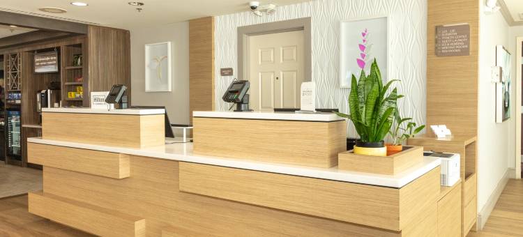 代托纳比奇机场希尔顿花园旅馆(Hilton Garden Inn Daytona Beach-Airport)图片