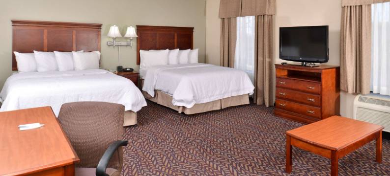 代顿万达利亚欢朋套房酒店(Hampton Inn & Suites Dayton-Vandalia)图片