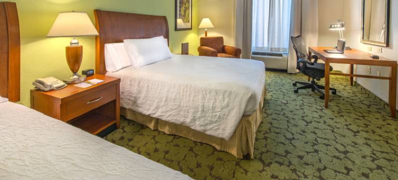 塔拉哈西中央希尔顿花园酒店(Hilton Garden Inn Tallahassee Central)图片