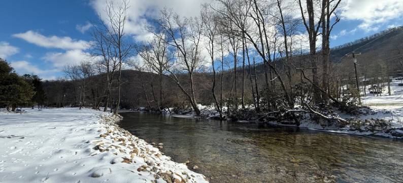 Waterfront River Home Near Asheville, Dog Friendly图片