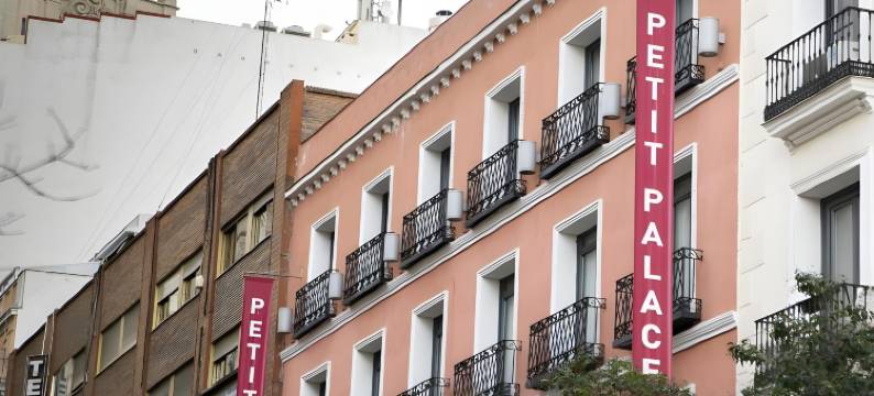 珀蒂宫特雷斯克鲁斯住宿(Petit Palace Tres Cruces)图片