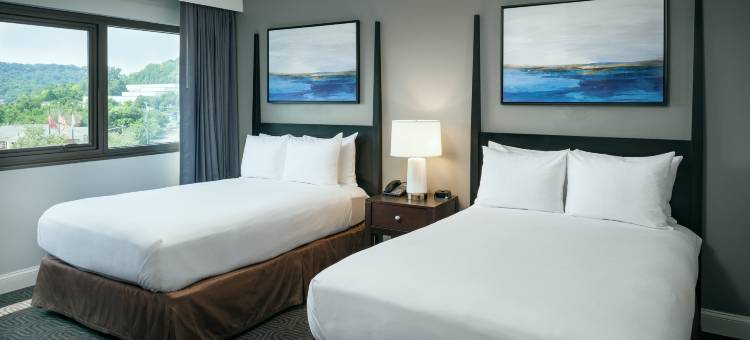 布伦特伍德纳许维尔套房希尔顿酒店(Hilton Brentwood/Nashville Suites)图片
