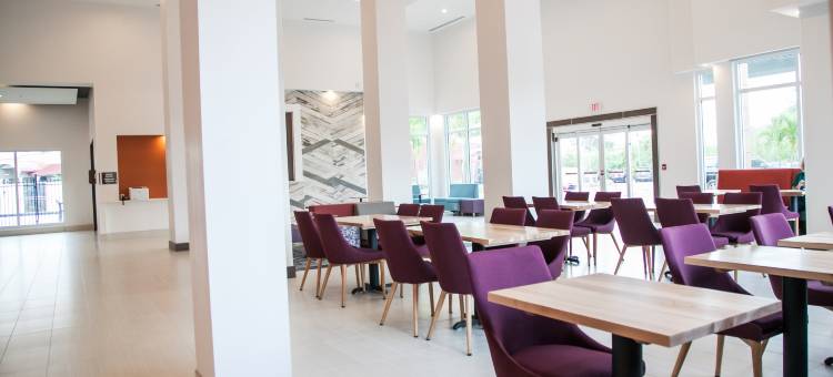 坦帕桑科斯特大道希尔顿花园酒店(Hilton Garden Inn Tampa Suncoast Parkway)图片
