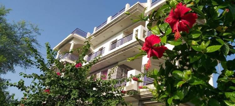 宜必思农场住宿酒店(IbisHouse Farm Stay)图片