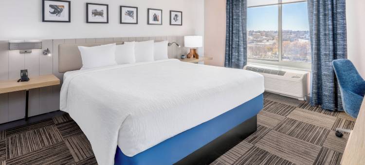 阿尔伯克基住宅区希尔顿花园酒店(Hilton Garden Inn Albuquerque Uptown)图片