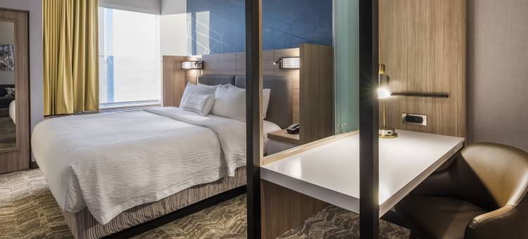 菲什基尔SpringHill Suites酒店(SpringHill Suites Fishkill)图片