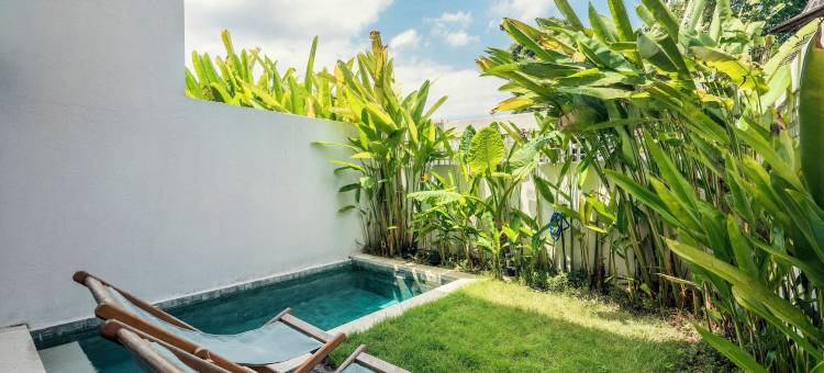 苍古 2Plex(Canggu 2Plex)图片