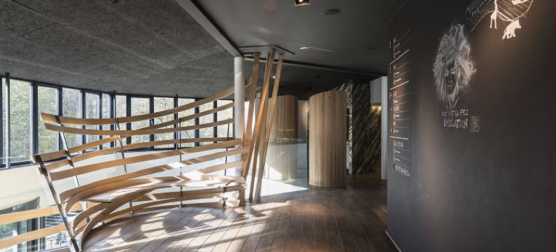 勒瓦尔德普瓦酒店 - 罗吉斯酒店餐厅(Hôtel Val de Poix- Logis Hôtel Restaurant)图片