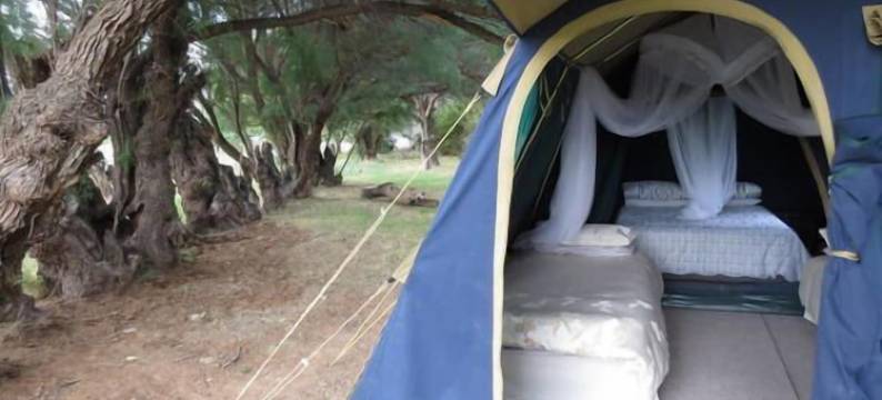 卡鲁葛瑞普帐篷营地(Karoo Gariep Tented Camp)图片