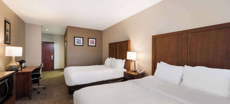 舒适套房酒店-拉斯维加斯内利斯(Comfort Inn & Suites Las Vegas - Nellis)图片