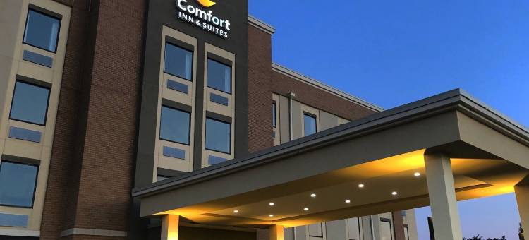 舒适套房酒店(Comfort Inn & Suites)图片