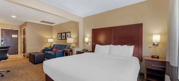 莱思罗普舒适酒店(Comfort Inn Lathrop Stockton Airport)图片