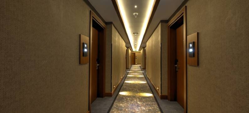 诺瓦维斯塔中心，丽笙精选成员(Nova Vista Centrum Hotel Eskisehir, a Member of Radisson Individuals)图片