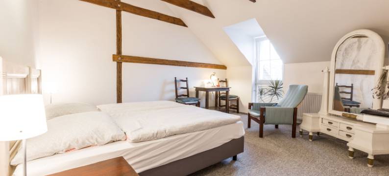 阿尔特膳食旅馆(Alt Pension)图片