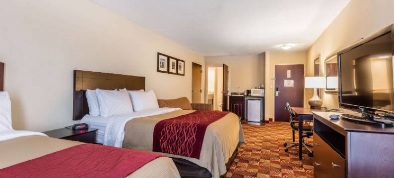 贾斯珀78号公路西舒适套房酒店(Comfort Inn & Suites Jasper Hwy 78 West)图片