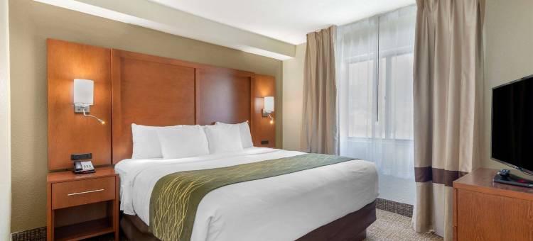 舒适套房酒店-近罗宾斯空军基地正门(Comfort Inn & Suites - Near Robins Air Force Base Main Gate)图片