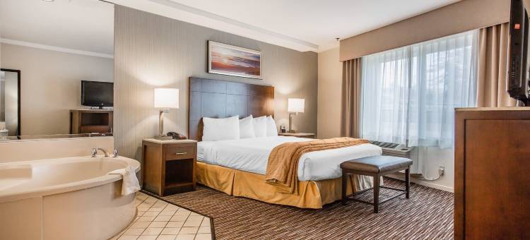 贺茂沙海滩凯艺套房酒店(Quality Inn & Suites Hermosa Beach)图片