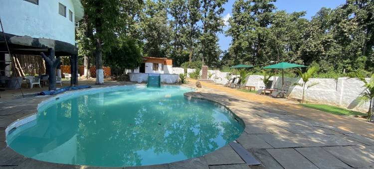 虎木坎哈度假村及水疗中心(Tigerwoods Kanha Resorts & Spa)图片