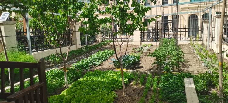 别墅小院轻奢民宿(兴业路分店)图片