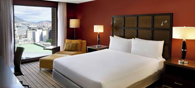 加拉加斯拉卡斯提亚万丽酒店(Renaissance Caracas la Castellana Hotel)图片