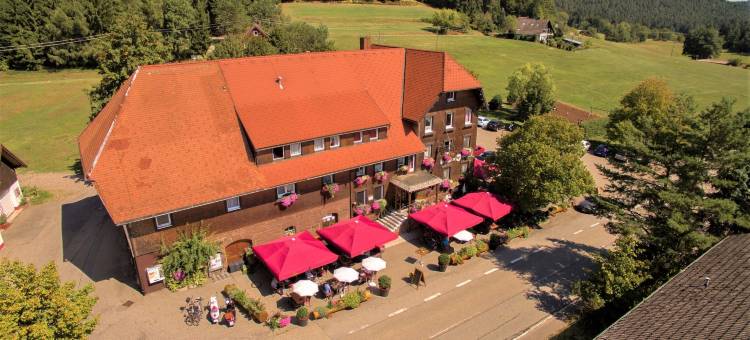 阿德勒福伦比尔旅馆(Gasthaus Adler Fohrenbühl)图片