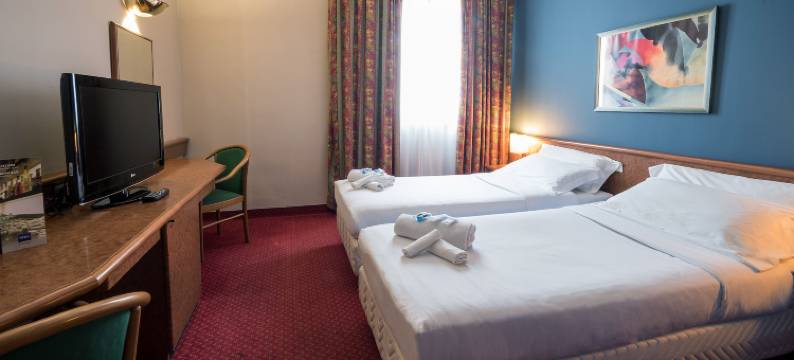 皮亚琴察思路酒店(Idea Hotel Piacenza)图片