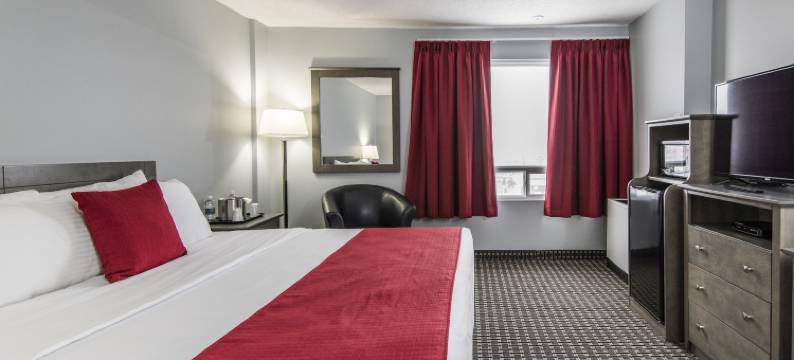 天堂宾馆及会议中心(Paradise Inn & Conference Centre)图片