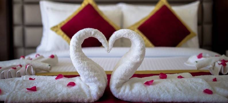 天鹅绒克拉克珍品酒店(Velvet Clarks Exotica)图片