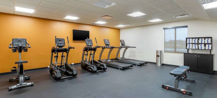 西德梅茵舒适套房酒店(Comfort Inn & Suites West des Moines)图片