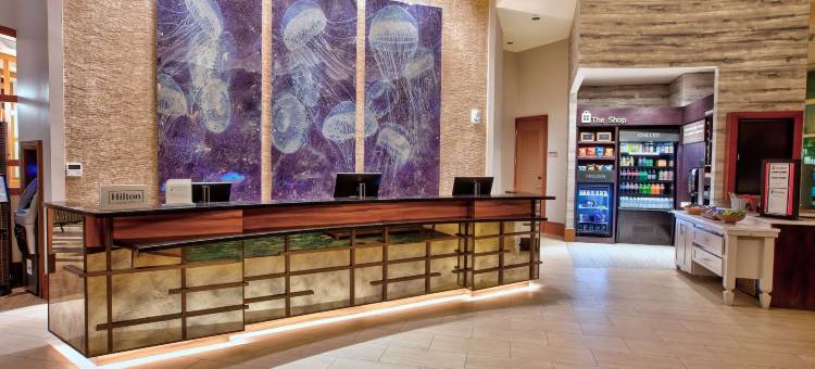 维吉尼亚海滩海滨希尔顿花园酒店(Hilton Garden Inn Virginia Beach Oceanfront)图片