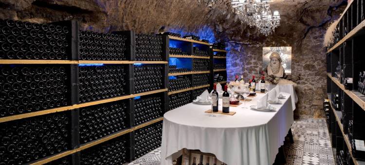 博瓦城堡 - 悠南宅邸酒店(Château de Beauvois - la Maison Younan)图片