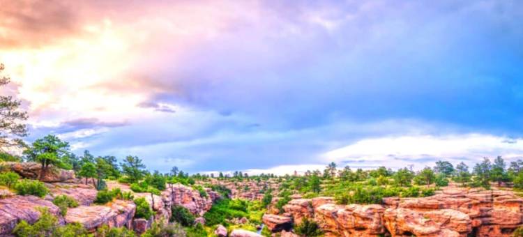 帕克酒店(The Parker Hotel)图片