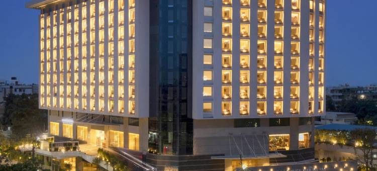 诺富特维加亚瓦达瓦伦酒店(Novotel Vijayawada Varun)图片