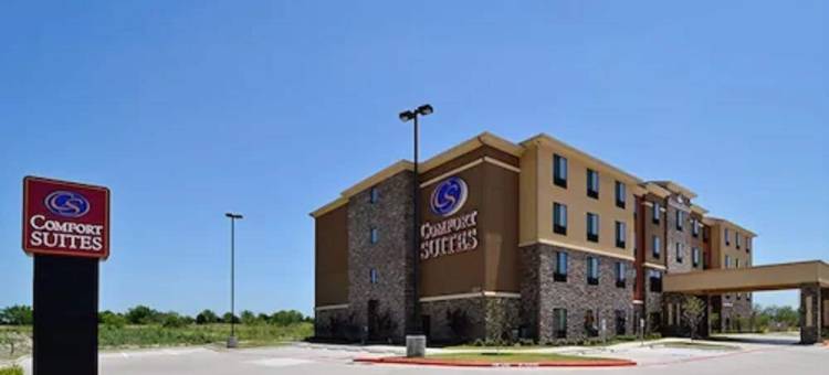 格林维尔舒适套房酒店(Comfort Suites Greenville)图片