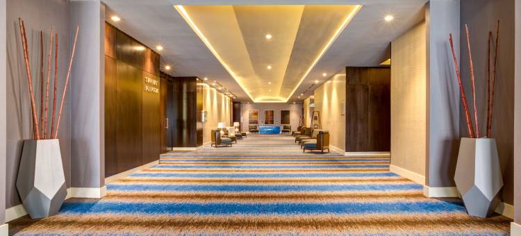 巴拿马城希尔顿酒店(Hilton Panama)图片