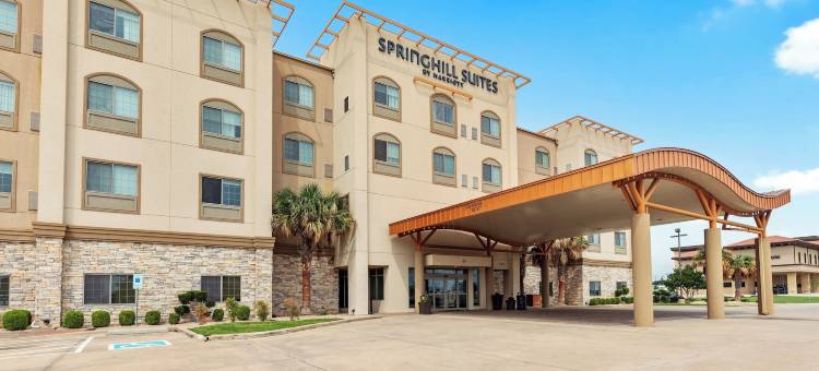 伍德威韦科 SpringHill Suites 酒店(SpringHill Suites Waco Woodway)图片
