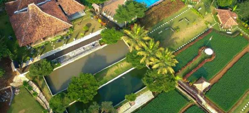 Kampung Halaman Villas图片