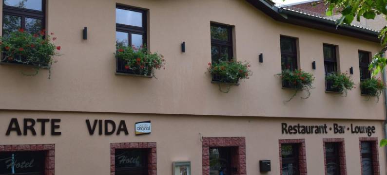 艺术生活酒店(Hotel Arte Vida Ohg)图片