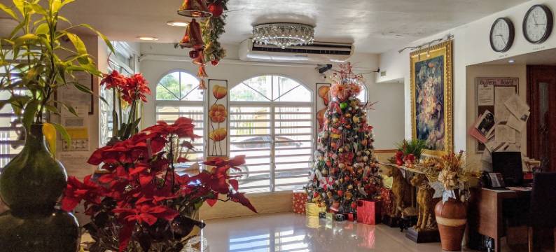 圣乔治酒店(Hotel San Jorge)图片