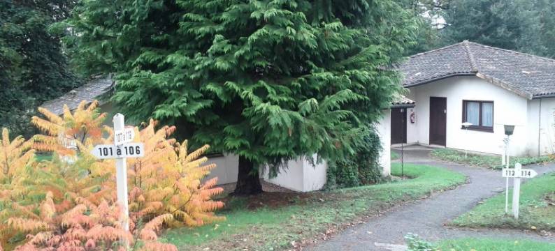 曼奎伊尔酒店(Hotel Restaurant le Manguier)图片