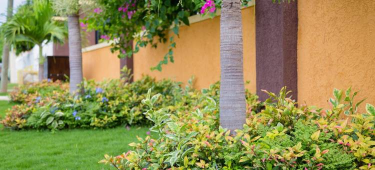 中心位置旅客公寓酒店(Centrally Located Guest Apartments)图片