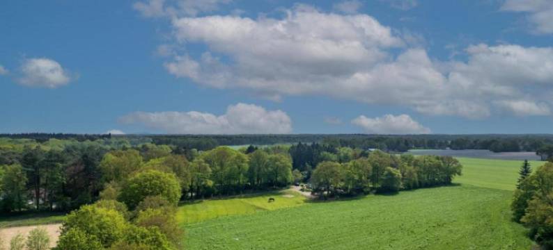 布拉班特的小房子，带舒适露台(Tiny House in Brabant with Cozy Terrace)图片