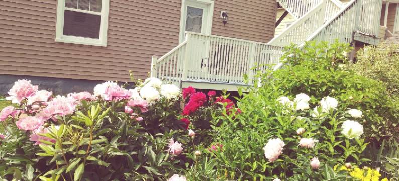 荣耀贵宾套房酒店 - 蒙顿市中心(Glory Guest Suites, Downtown Moncton)图片