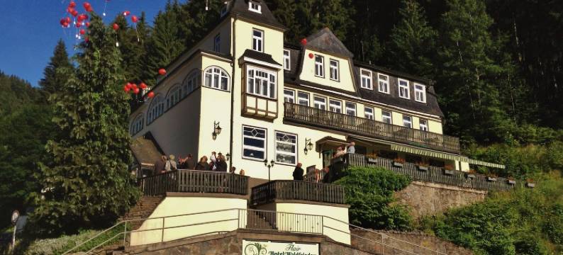 沃尔德弗雷德弗莱尔酒店(Flair-Hotel Waldfrieden)图片