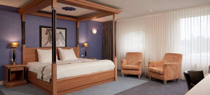 哈尔德哈赖普凡德瓦克酒店(Van der Valk Hotel Hardegarijp - Leeuwarden)图片